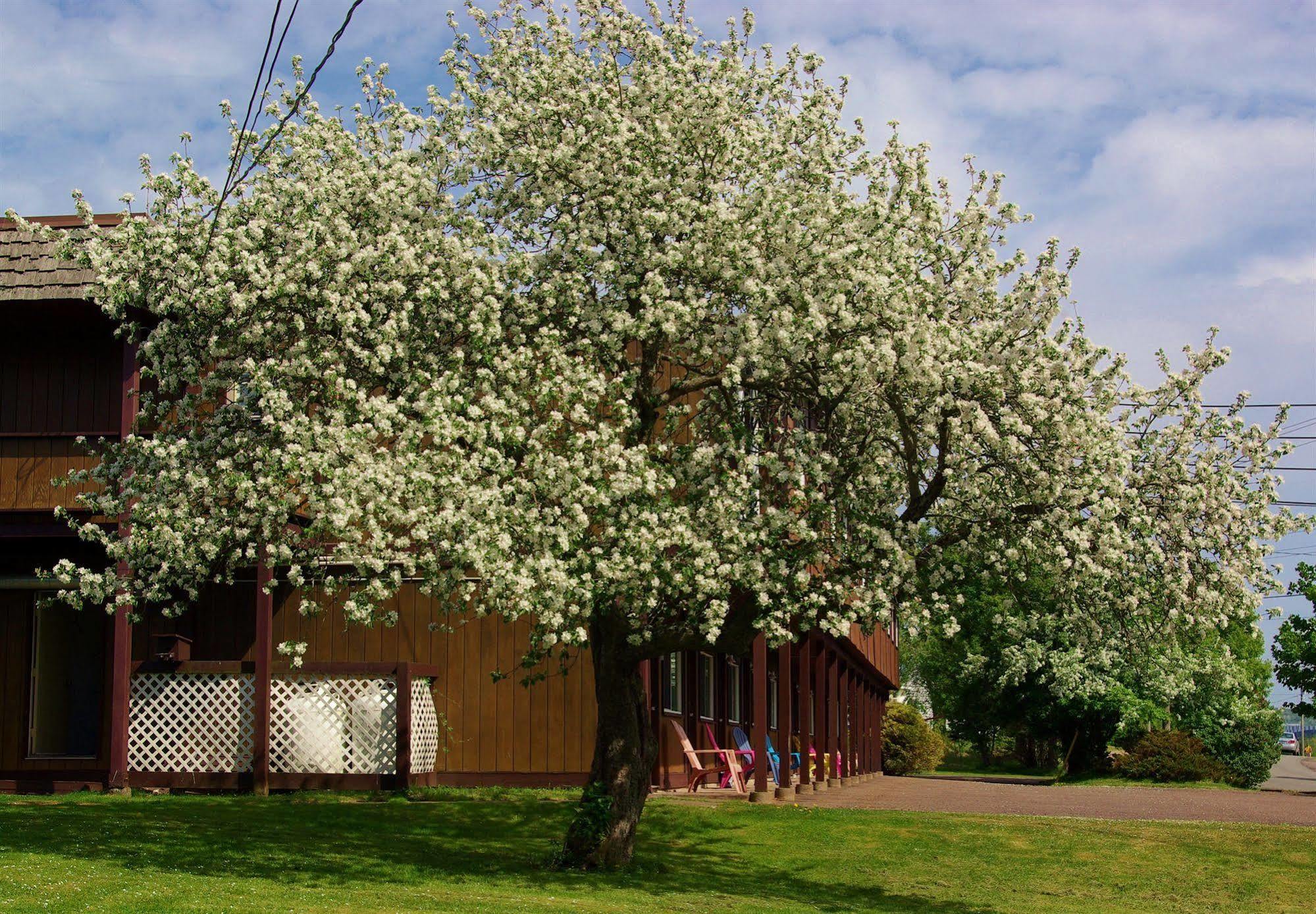 Tidal Bore Inn Truro Exterior photo